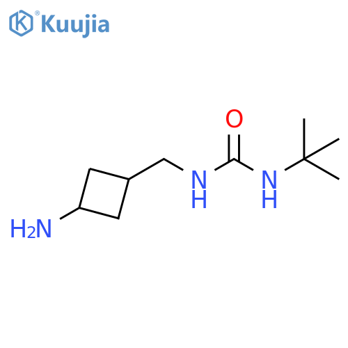 Urea, N-[(3-aminocyclobutyl)methyl]-N'-(1,1-dimethylethyl)- structure