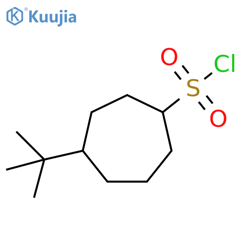 4-tert-butylcycloheptane-1-sulfonyl chloride structure