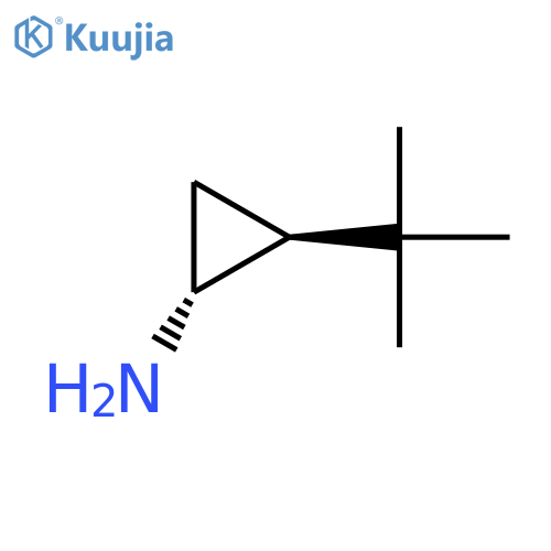 rac-(1R,2S)-2-tert-butylcyclopropan-1-amine structure