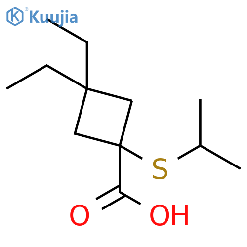 3,3-diethyl-1-(propan-2-ylsulfanyl)cyclobutane-1-carboxylic acid structure