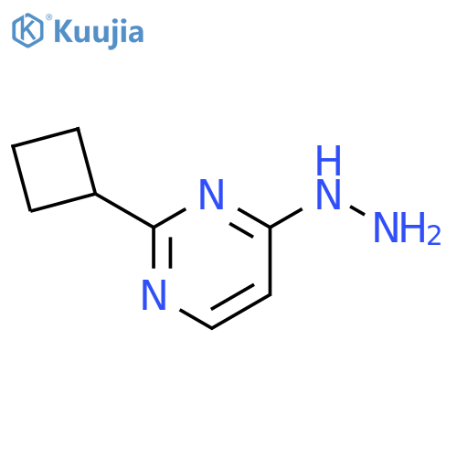 2-CYCLOBUTYL-4-HYDRAZINYLPYRIMIDINE structure