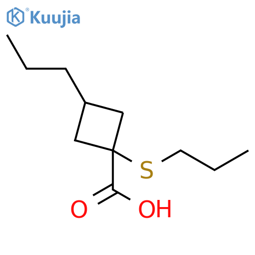 3-propyl-1-(propylsulfanyl)cyclobutane-1-carboxylic acid structure