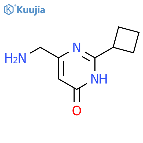 6-(aminomethyl)-2-cyclobutyl-3,4-dihydropyrimidin-4-one structure