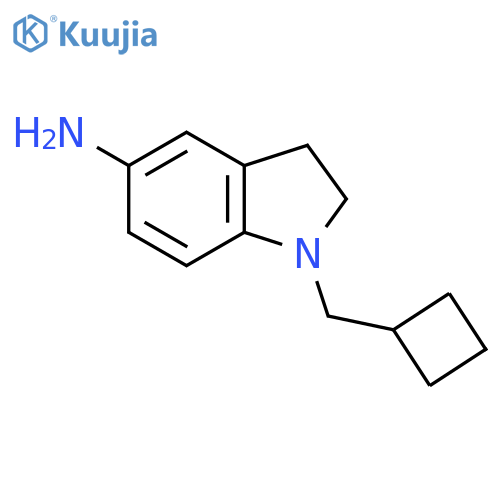 1-(Cyclobutylmethyl)-2,3-dihydro-1H-indol-5-amine structure