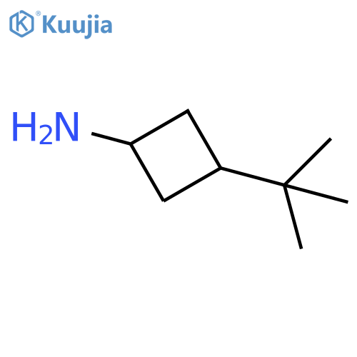 3-tert-butylcyclobutan-1-amine structure