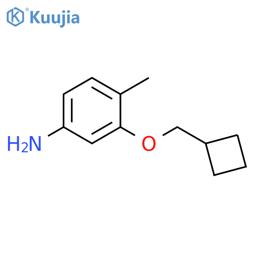 3-(cyclobutylmethoxy)-4-methylaniline structure