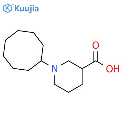 1-cyclooctylpiperidine-3-carboxylic acid structure