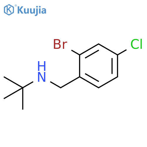 (2-bromo-4-chlorophenyl)methyl(tert-butyl)amine structure