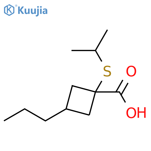 1-(propan-2-ylsulfanyl)-3-propylcyclobutane-1-carboxylic acid structure
