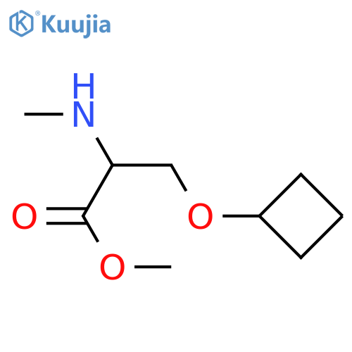 methyl 3-cyclobutoxy-2-(methylamino)propanoate structure