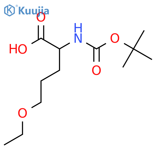 2-{(tert-butoxy)carbonylamino}-5-ethoxypentanoic acid structure