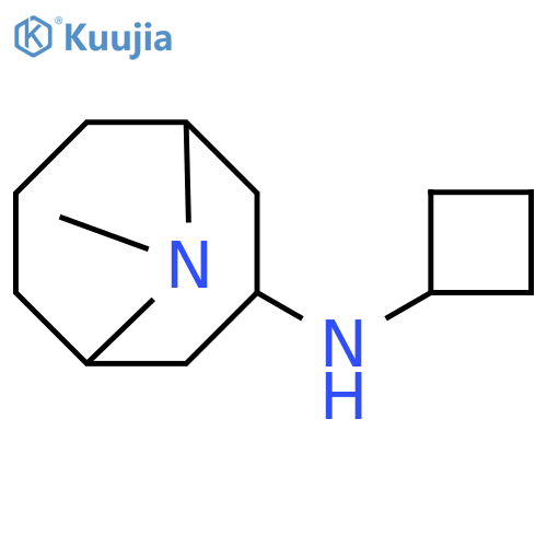 N-cyclobutyl-9-methyl-9-azabicyclo3.3.1nonan-3-amine structure