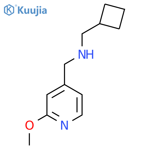 (Cyclobutylmethyl)[(2-methoxypyridin-4-yl)methyl]amine structure