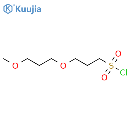 3-(3-methoxypropoxy)propane-1-sulfonyl chloride structure