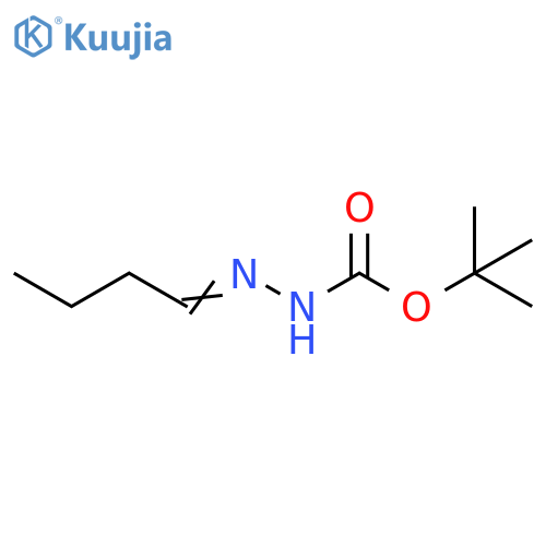 Hydrazinecarboxylicacid, 2-butylidene-, 1,1-dimethylethyl ester structure