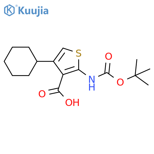 2-{(tert-butoxy)carbonylamino}-4-cyclohexylthiophene-3-carboxylic acid structure