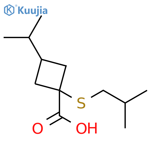 1-(2-methylpropyl)sulfanyl-3-(propan-2-yl)cyclobutane-1-carboxylic acid structure