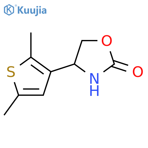 4-(2,5-dimethylthiophen-3-yl)-1,3-oxazolidin-2-one structure