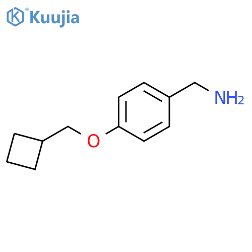 4-Cyclobutylmethoxybenzylamine structure