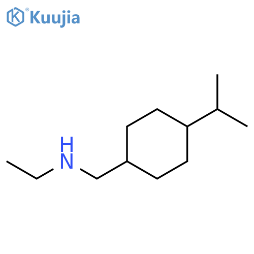 ethyl({[4-(propan-2-yl)cyclohexyl]methyl})amine structure
