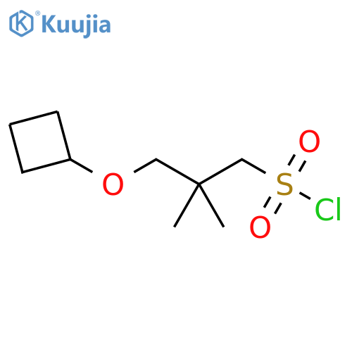 3-cyclobutoxy-2,2-dimethylpropane-1-sulfonyl chloride structure