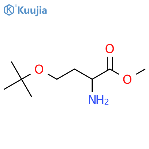 methyl 2-amino-4-(tert-butoxy)butanoate structure