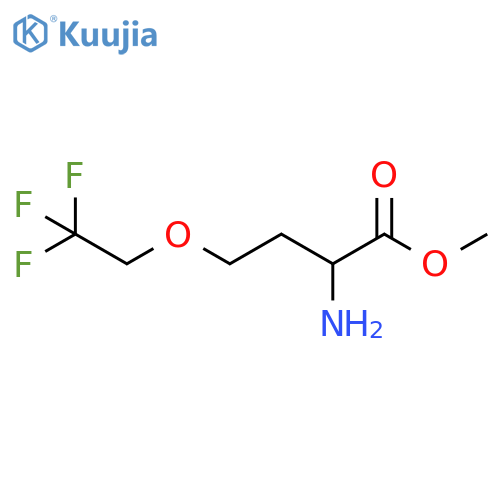 Methyl 2-amino-4-(2,2,2-trifluoroethoxy)butanoate structure