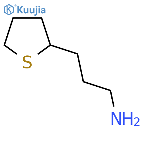 3-(thiolan-2-yl)propan-1-amine structure