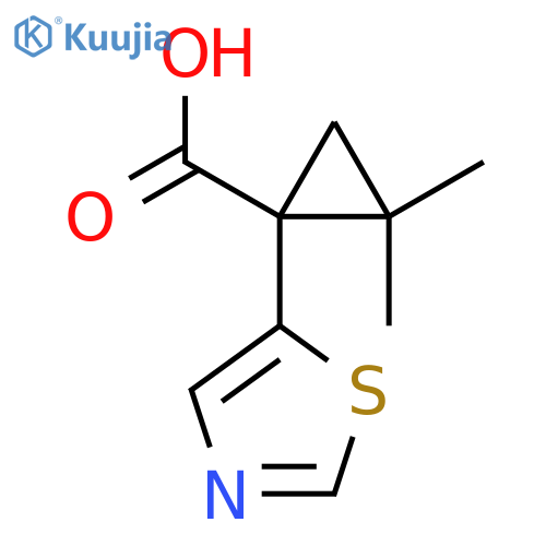 2,2-dimethyl-1-(1,3-thiazol-5-yl)cyclopropane-1-carboxylic acid structure