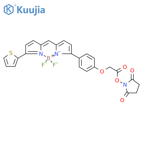 BDP TR NHS ester structure