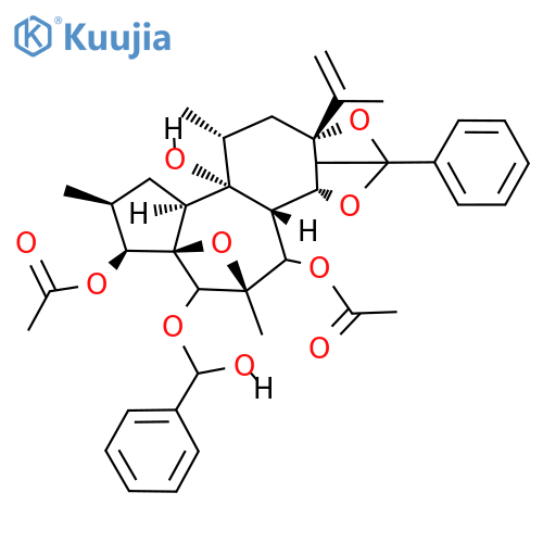Trigothysoid L structure