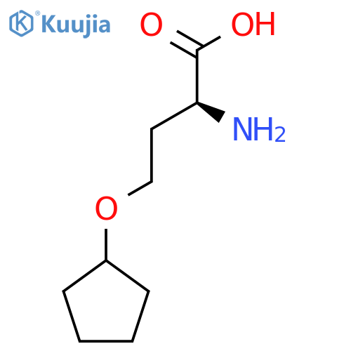 (2S)-2-amino-4-(cyclopentyloxy)butanoic acid structure