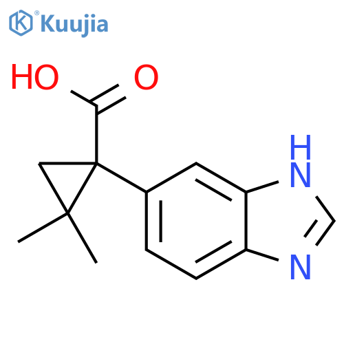 1-(1H-1,3-benzodiazol-5-yl)-2,2-dimethylcyclopropane-1-carboxylic acid structure