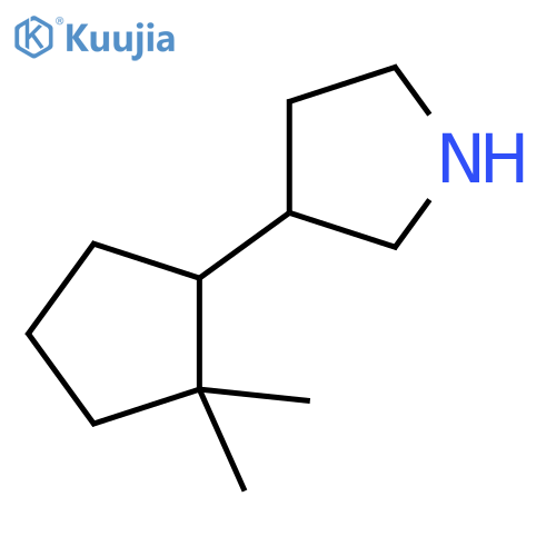 3-(2,2-dimethylcyclopentyl)pyrrolidine structure