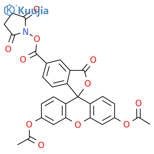 CFDA-SE structure