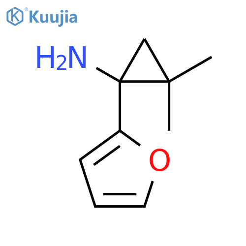 1-(furan-2-yl)-2,2-dimethylcyclopropan-1-amine structure
