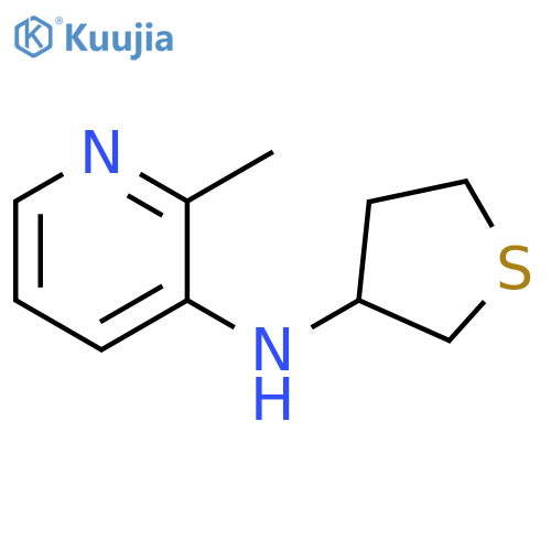 2-methyl-N-(thiolan-3-yl)pyridin-3-amine structure