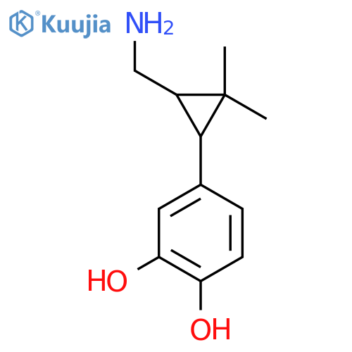 4-3-(aminomethyl)-2,2-dimethylcyclopropylbenzene-1,2-diol structure