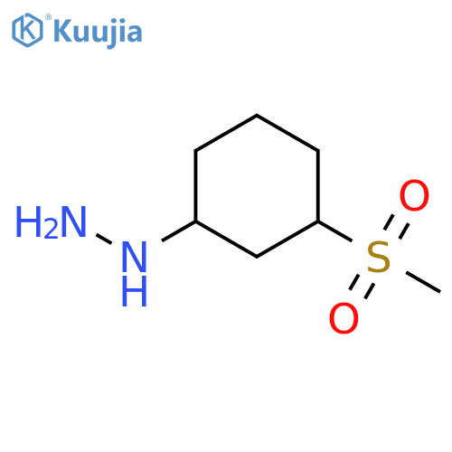 (3-METHANESULFONYLCYCLOHEXYL)HYDRAZINE structure
