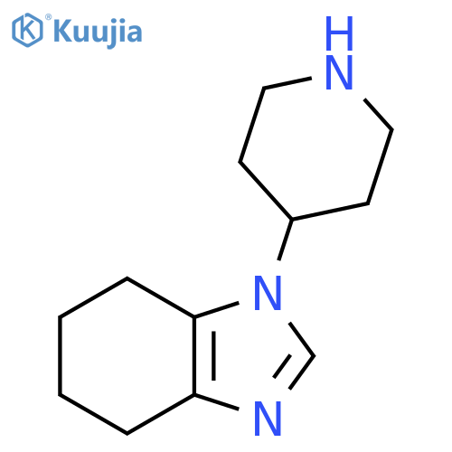 1-(piperidin-4-yl)-4,5,6,7-tetrahydro-1H-1,3-benzodiazole structure