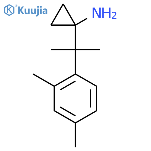 1-2-(2,4-dimethylphenyl)propan-2-ylcyclopropan-1-amine structure