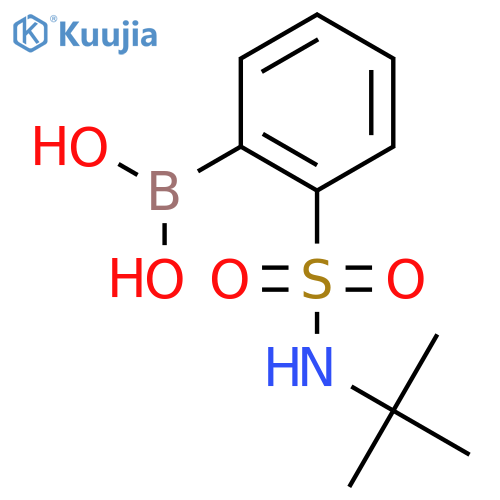 [2-(tert-butylsulfamoyl)phenyl]boronic acid structure