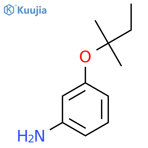 3-(2-methylbutan-2-yl)oxyaniline structure