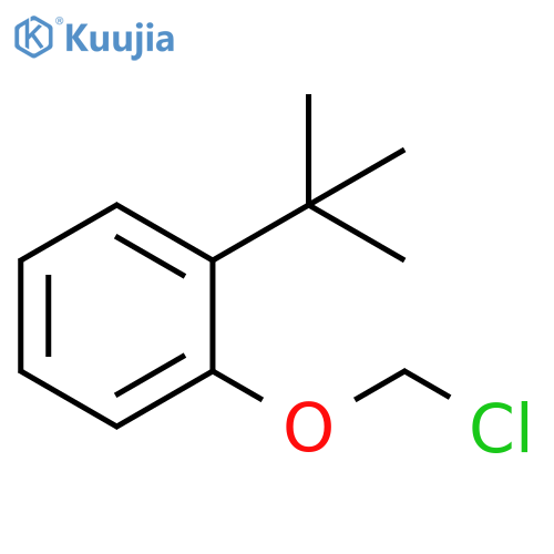 Benzene, 1-(chloromethoxy)-2-(1,1-dimethylethyl)- structure