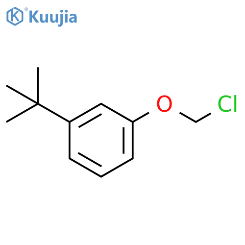 Benzene, 1-(chloromethoxy)-3-(1,1-dimethylethyl)- structure