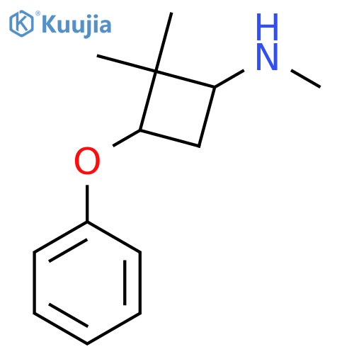 N,2,2-trimethyl-3-phenoxycyclobutan-1-amine structure
