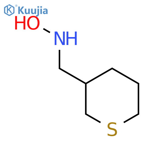 N-(thian-3-yl)methylhydroxylamine structure