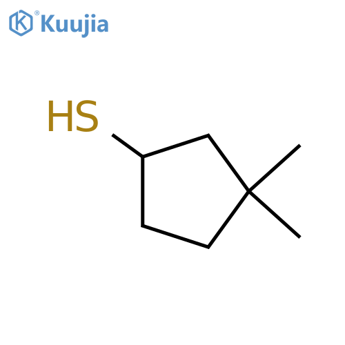 3,3-dimethylcyclopentane-1-thiol structure