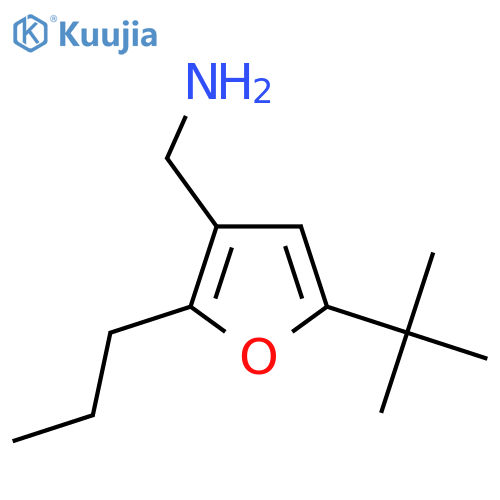(5-Tert-butyl-2-propylfuran-3-yl)methanamine structure