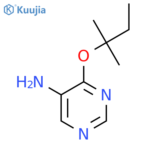4-(2-methylbutan-2-yl)oxypyrimidin-5-amine structure